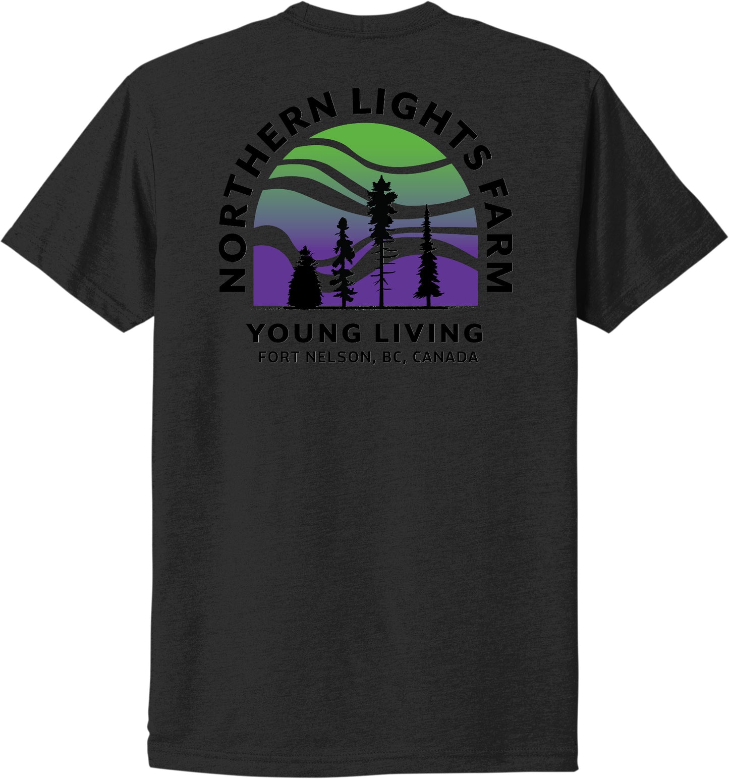 Northern Lights | Heather T-Shirts (Front & Back Logo)