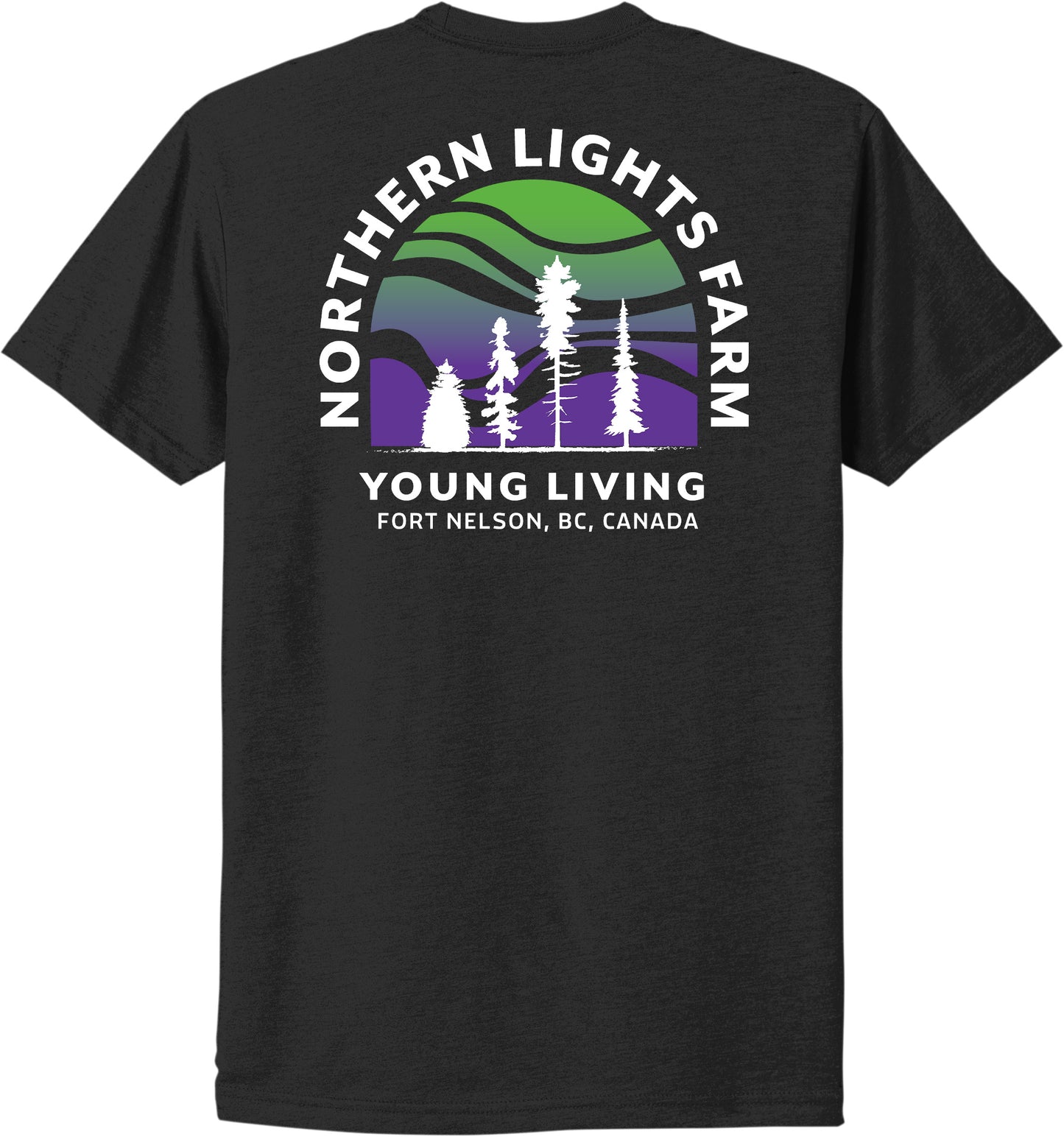 Northern Lights | Heather T-Shirts (Front & Back Logo)