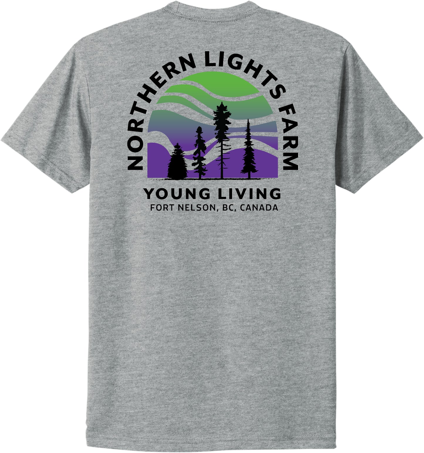 Northern Lights | Heather T-Shirts (Front & Back Logo)