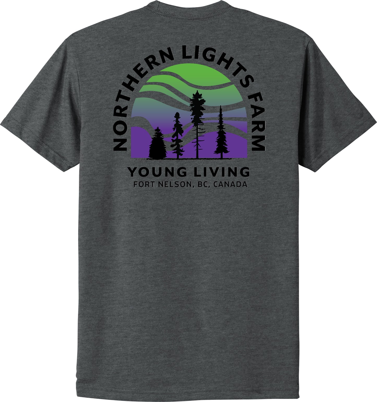 Northern Lights | Heather T-Shirts (Front & Back Logo)