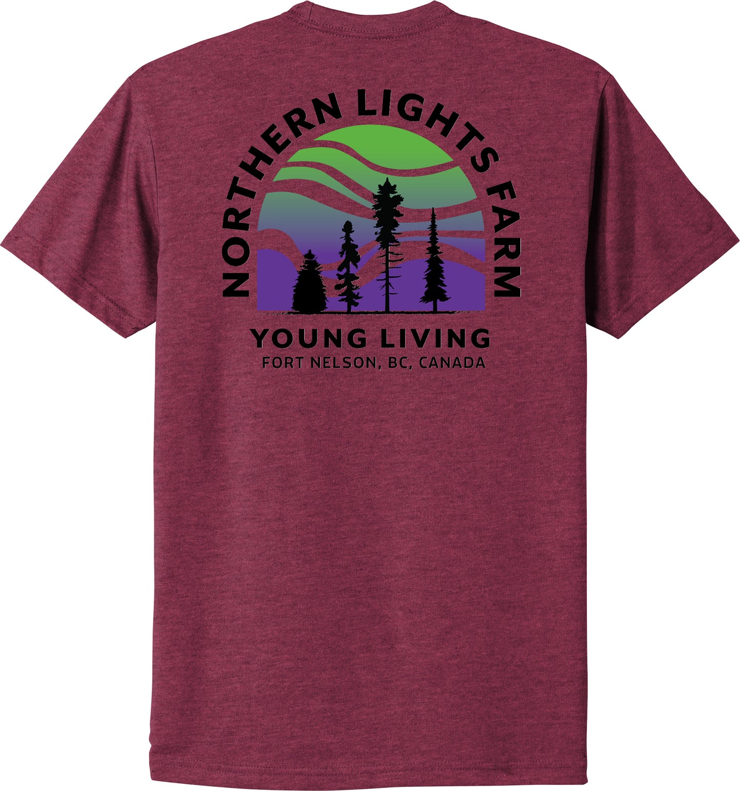 Northern Lights | Heather T-Shirts (Front & Back Logo)