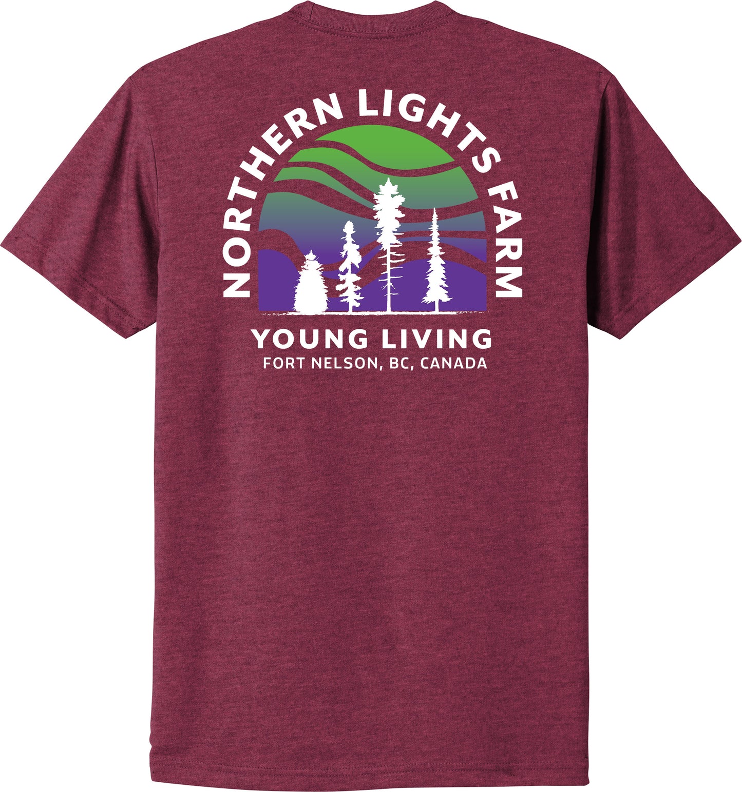 Northern Lights | Heather T-Shirts (Front & Back Logo)