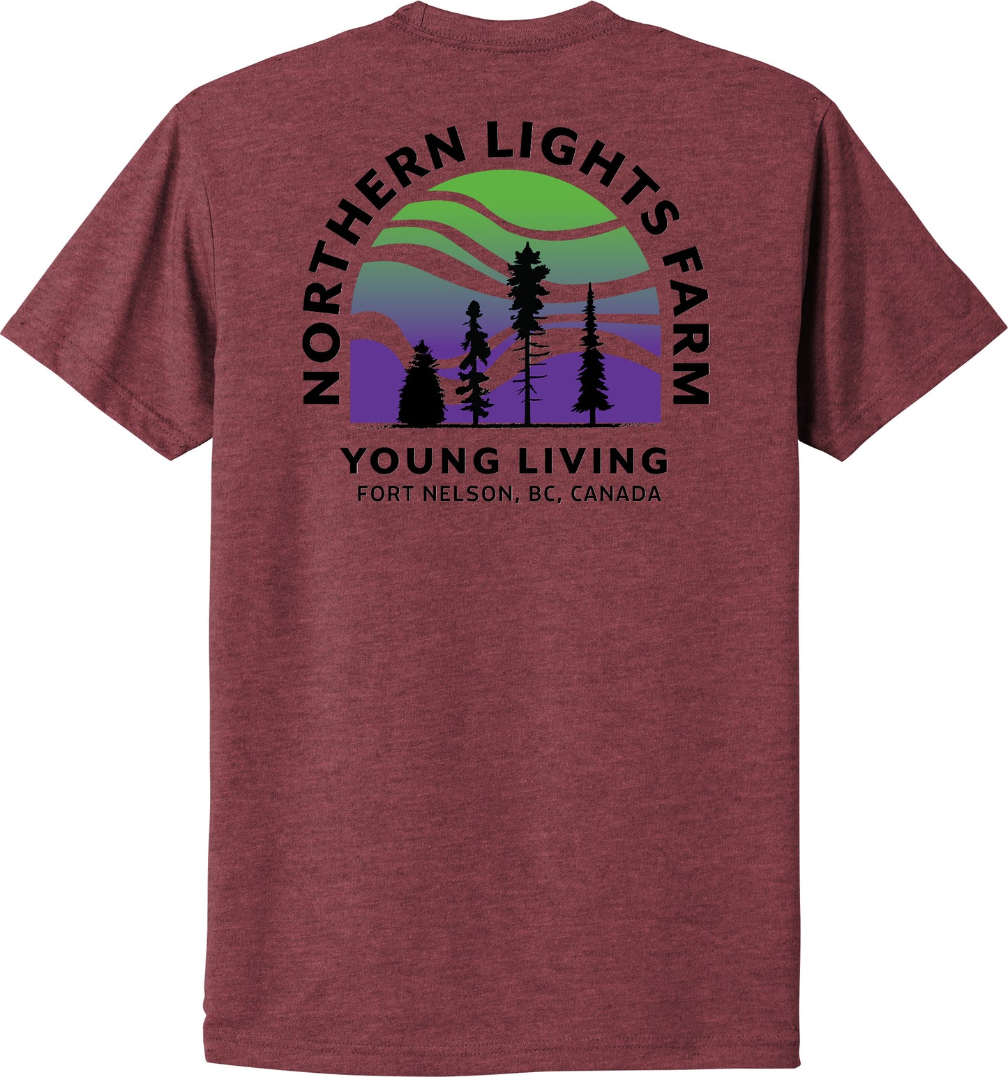 Northern Lights | Heather T-Shirts (Front & Back Logo)