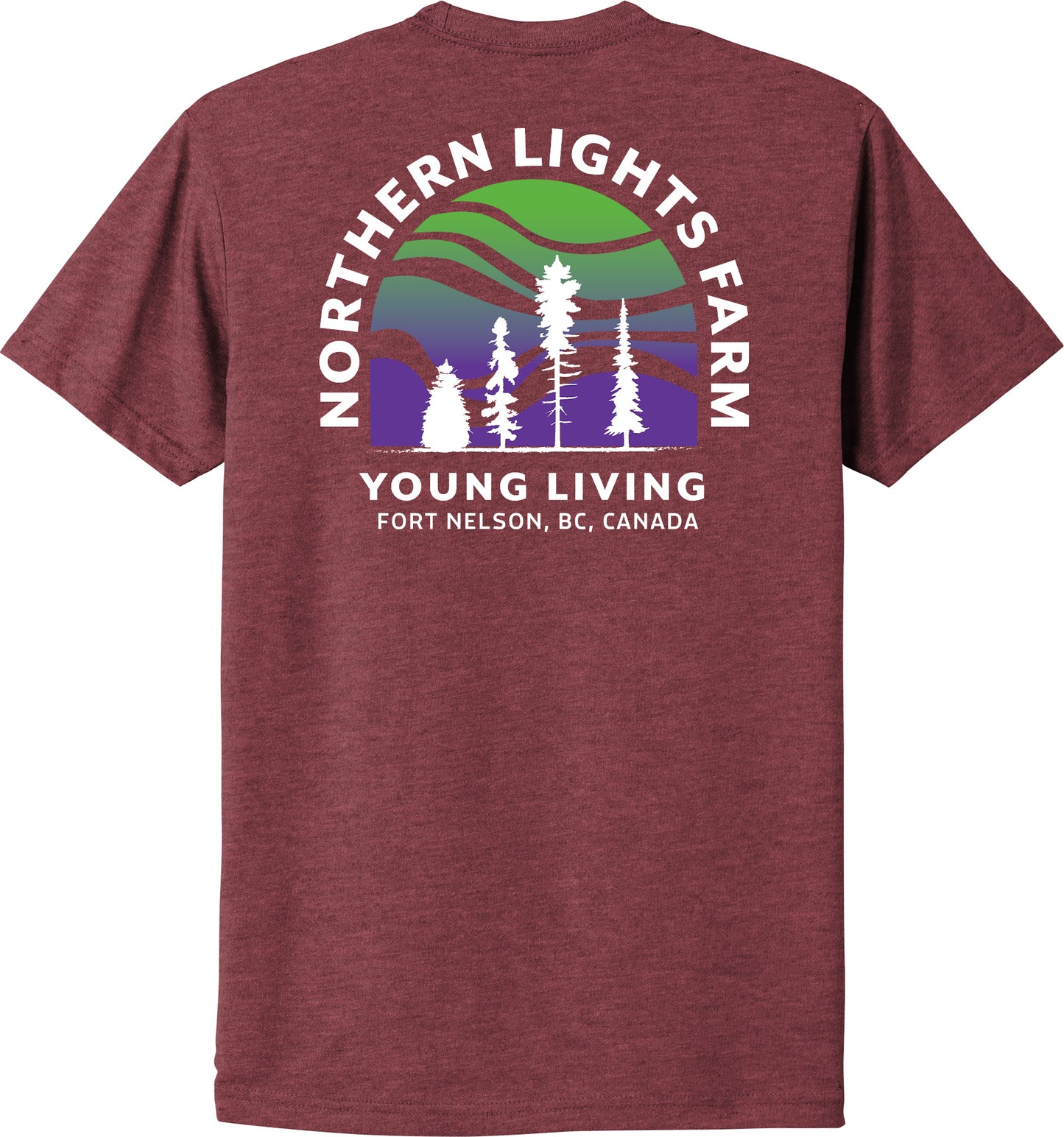 Northern Lights | Heather T-Shirts (Front & Back Logo)