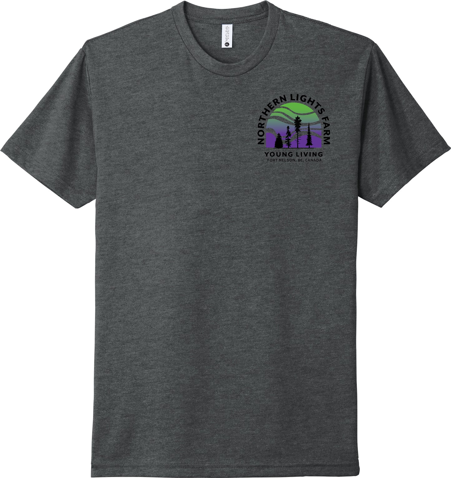 Northern Lights | Heather T-Shirts (Front & Back Logo)